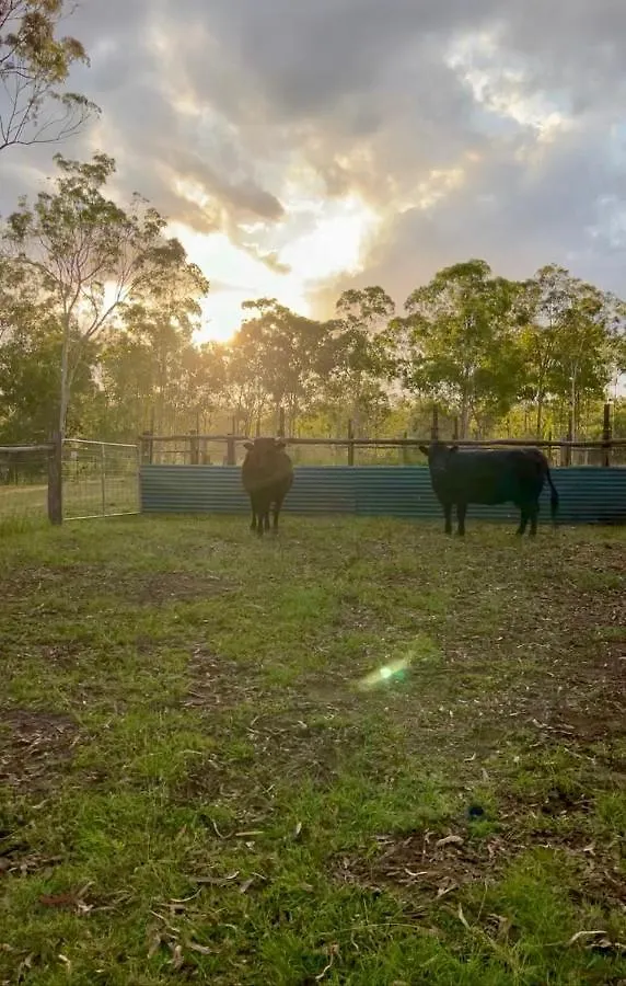 The Cottage Farm Stay - Grandchester